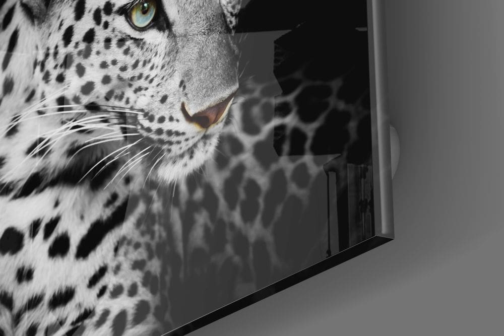 Leopard White UV Digital Painted Frameless Glass Wall Art or Decor - Art Gallery EU - 1