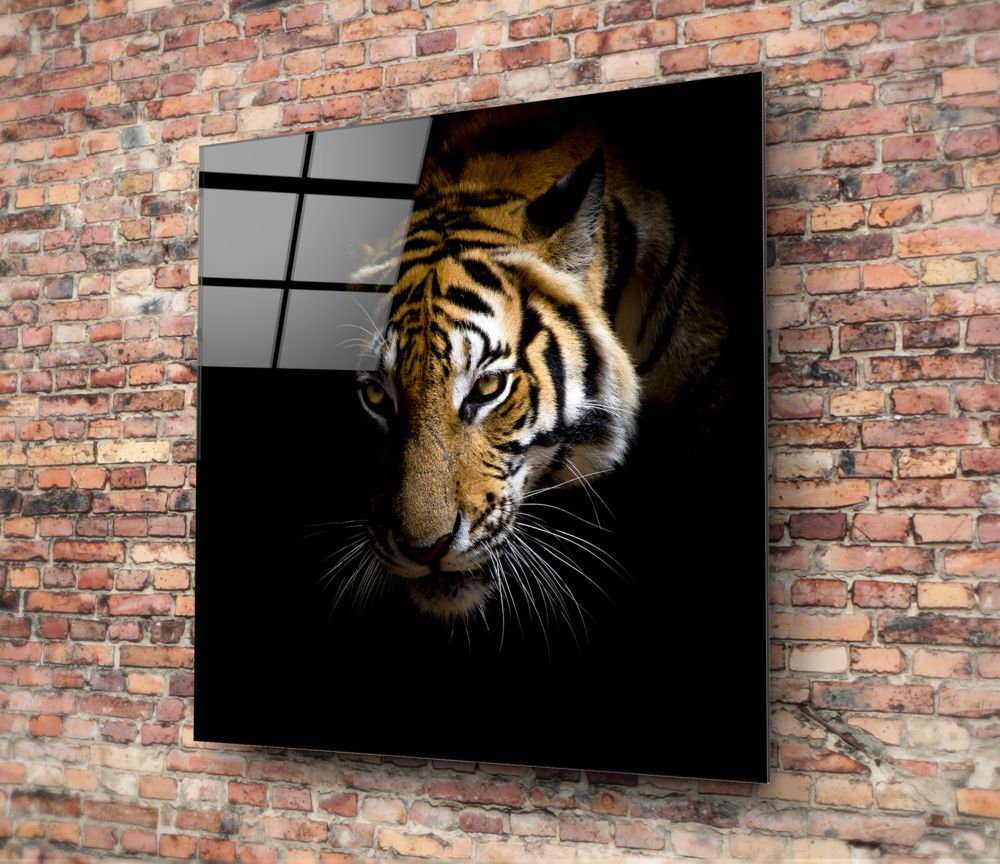 Tiger UV Digital Painted Frameless Glass Wall Art or Decor - Art Gallery EU - 1