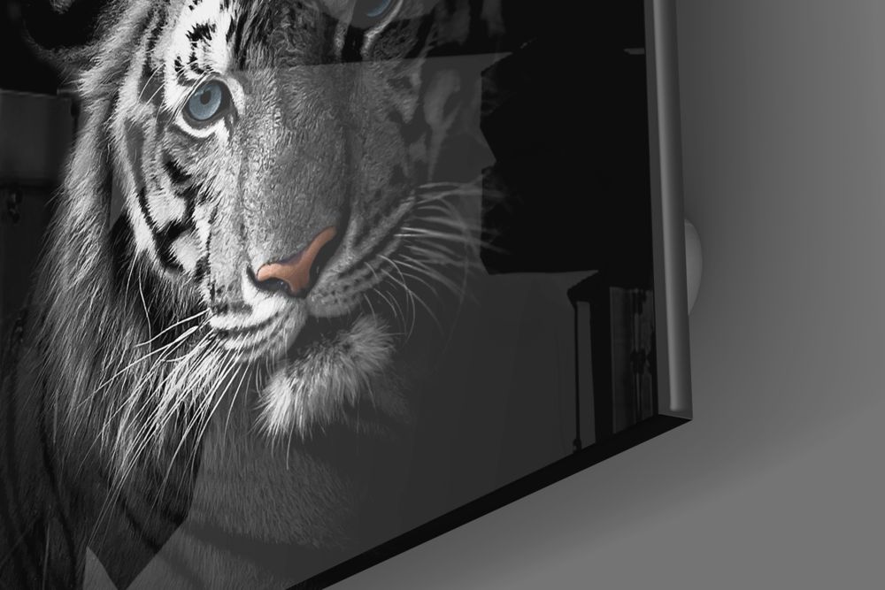 Tiger in Black UV Digital Painted Frameless Glass Wall Art or Decor - Art Gallery EU - 1