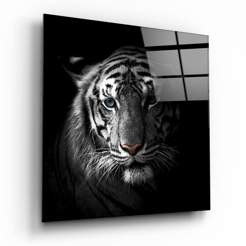 Tiger in Black UV Digital Painted Frameless Glass Wall Art or Decor - Art Gallery EU - 3
