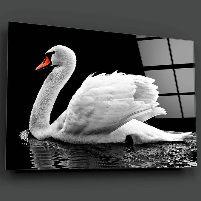 Swan UV Digital Painted Frameless Glass Wall Art or Decor - Art Gallery EU - 2