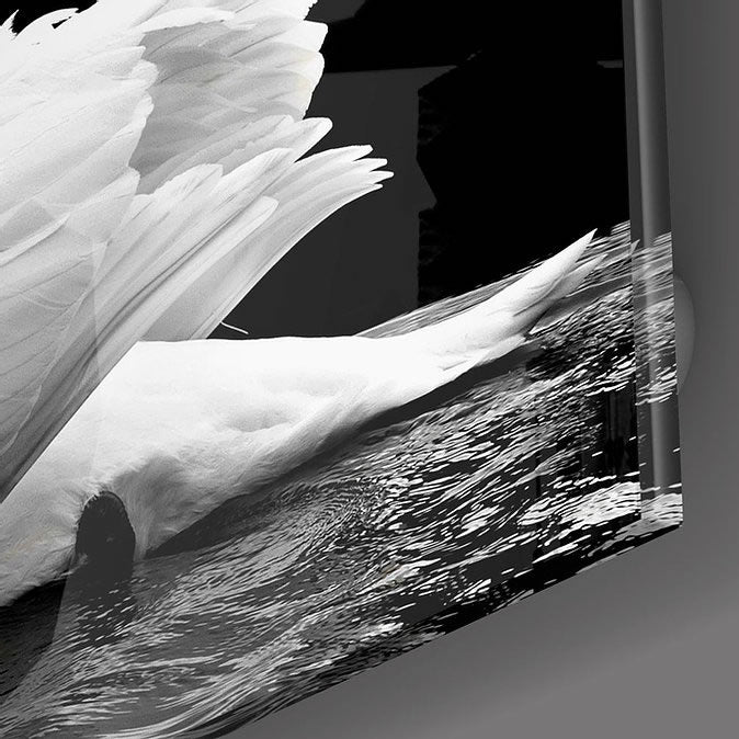 Swan UV Digital Painted Frameless Glass Wall Art or Decor - Art Gallery EU - 4
